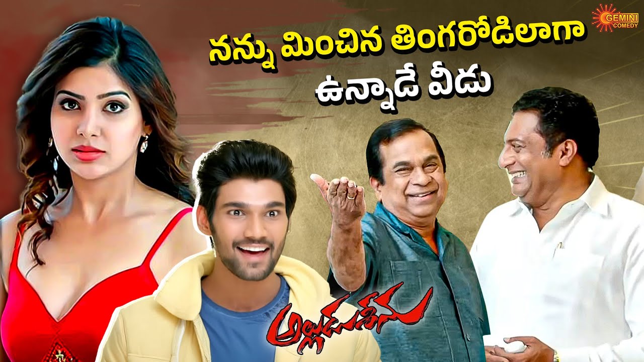 Ravi Babu – Brahmanandam Hilarious Comedy Scenes | Alludu Seenu | Telugu Comedy Scene