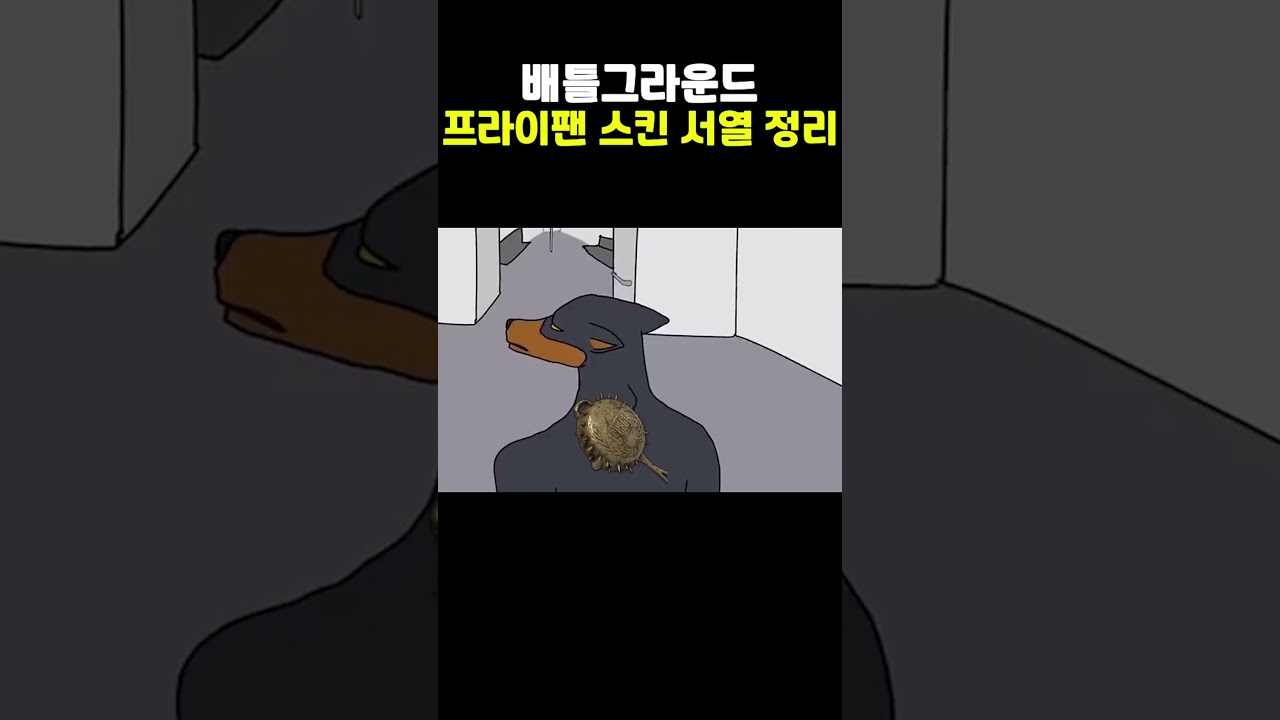 배그 프라이팬 스킨 서열 정리