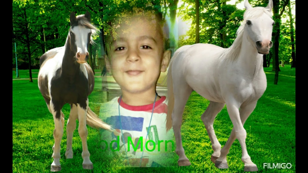 6 January 2026