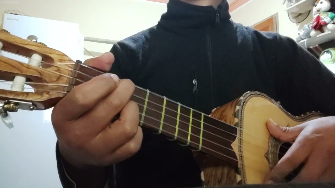 TUTORIAL: EL SON DE LOS AGUACATES (VIHUELA/GUITARRA)