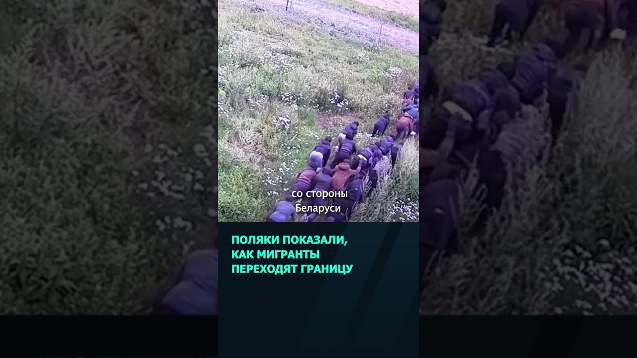 Польские пограничники показали, как мигранты пытаются перебраться через границу  #беларусь #новости
