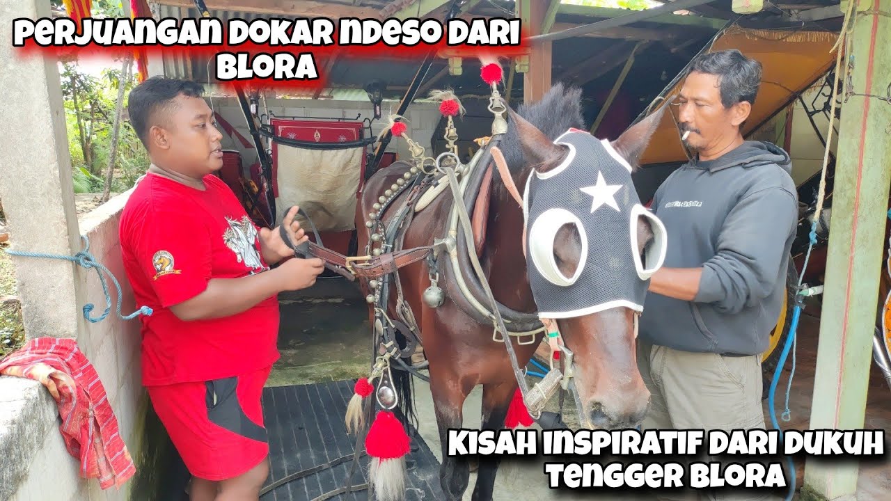 Cerita Penduduk Pribumi Tentang Dokar Ndeso Edisi Keliling Desa Naik Kuda Mas Raka Part 02