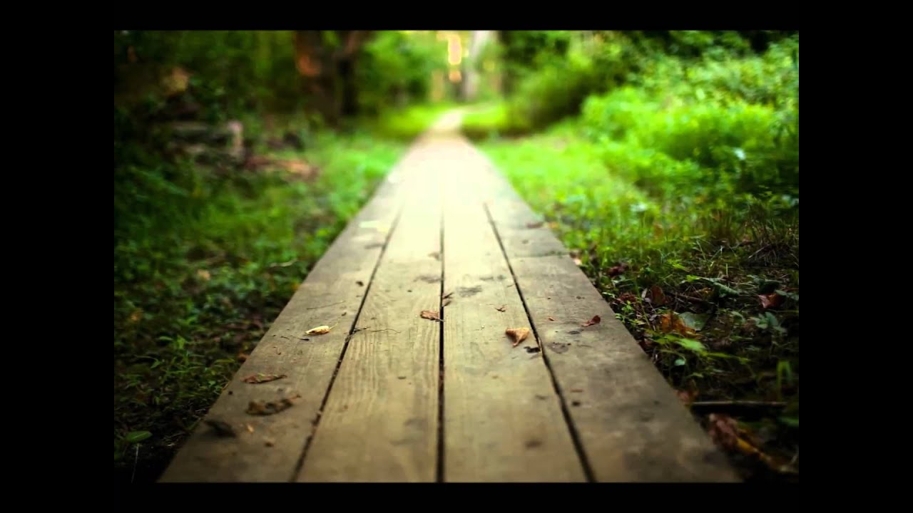 Llegamos tarde los dos... (Julio Iglesias)