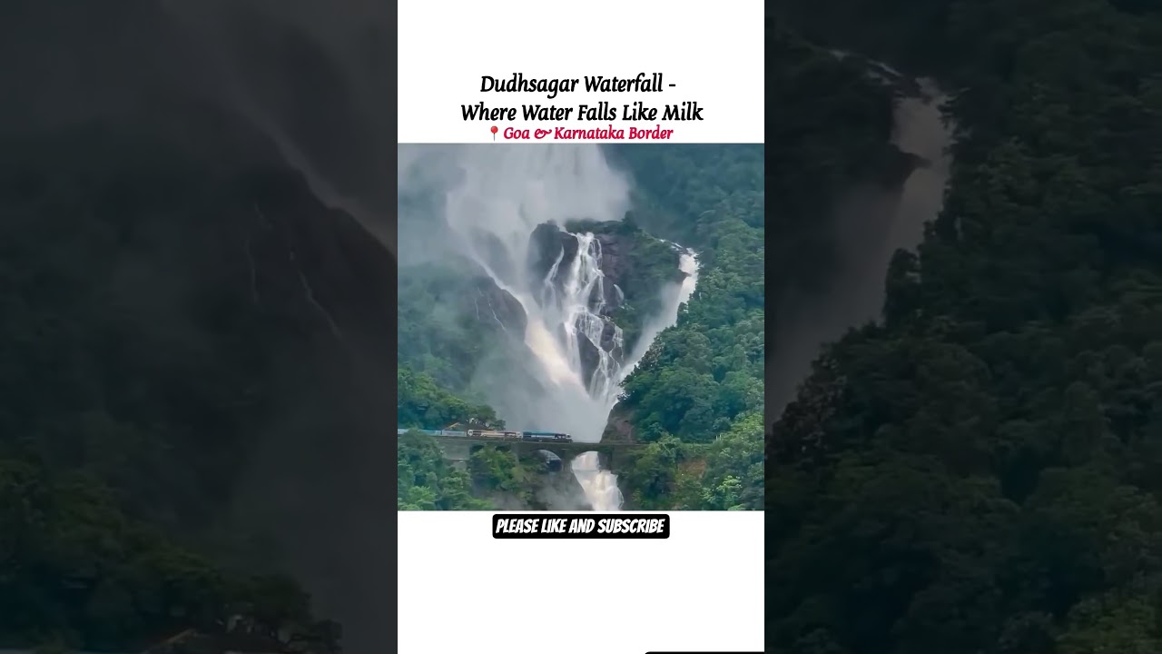 Dudhsagar falls in Goa #trending #goa