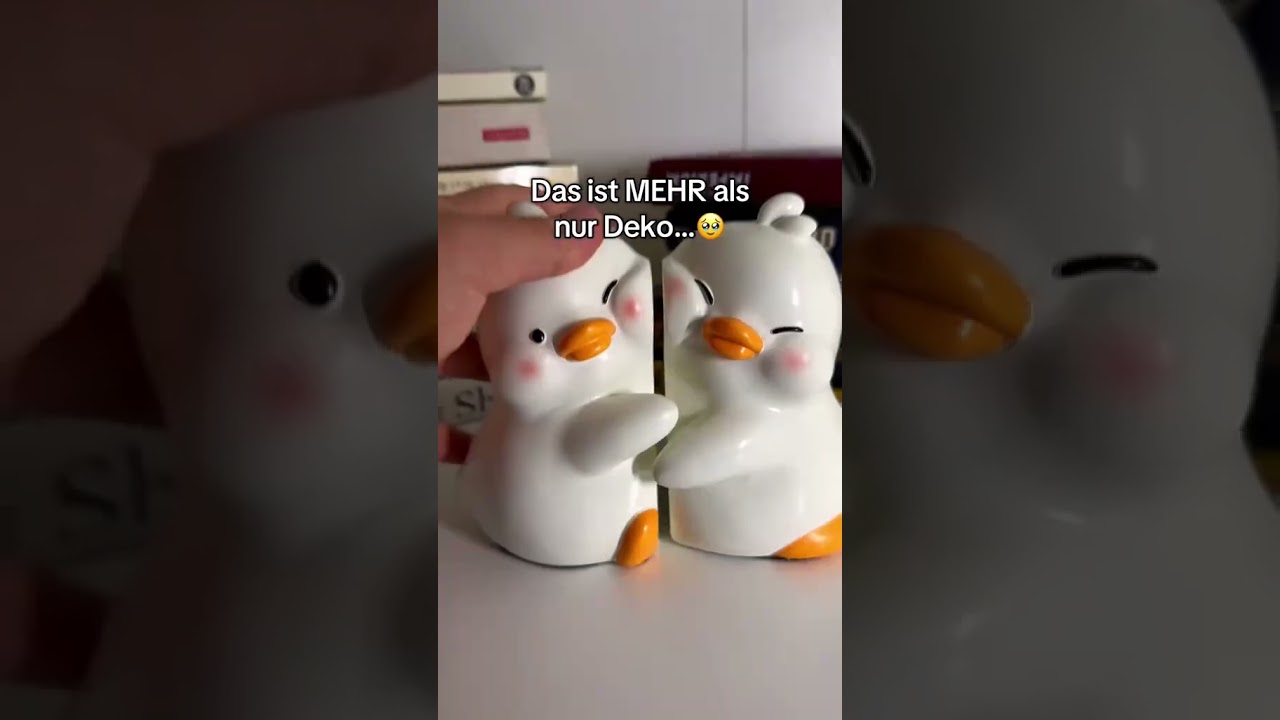 Diese Bookends sind das BESTE Valentinstagsgeschenk! 