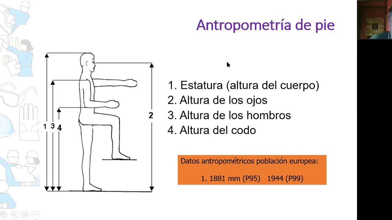 Diseño del Trabajo / Ergonomía / Parte 3