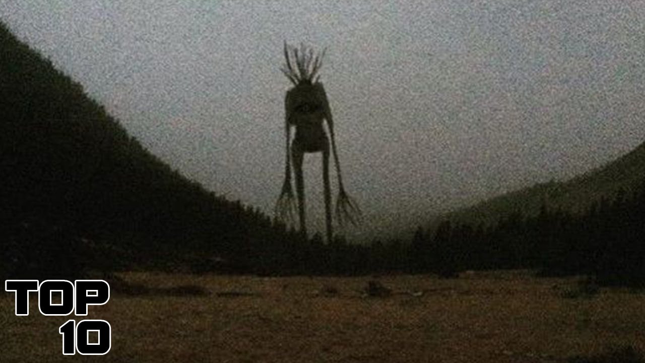 Top 10 Terrifying Lovecraft Creatures That Turned Out To Be Real