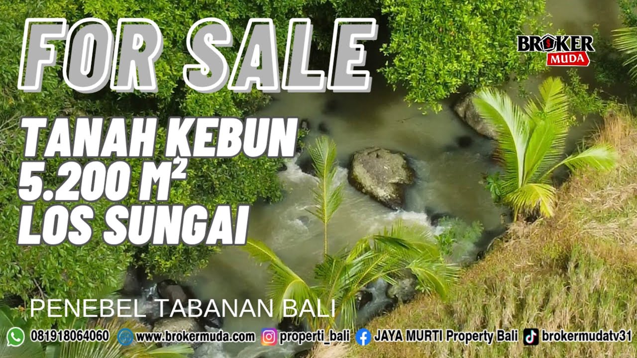 JUAL TANAH 52 ARE LOS SUNGAI BESAR PENEBEL TABANAN BALI