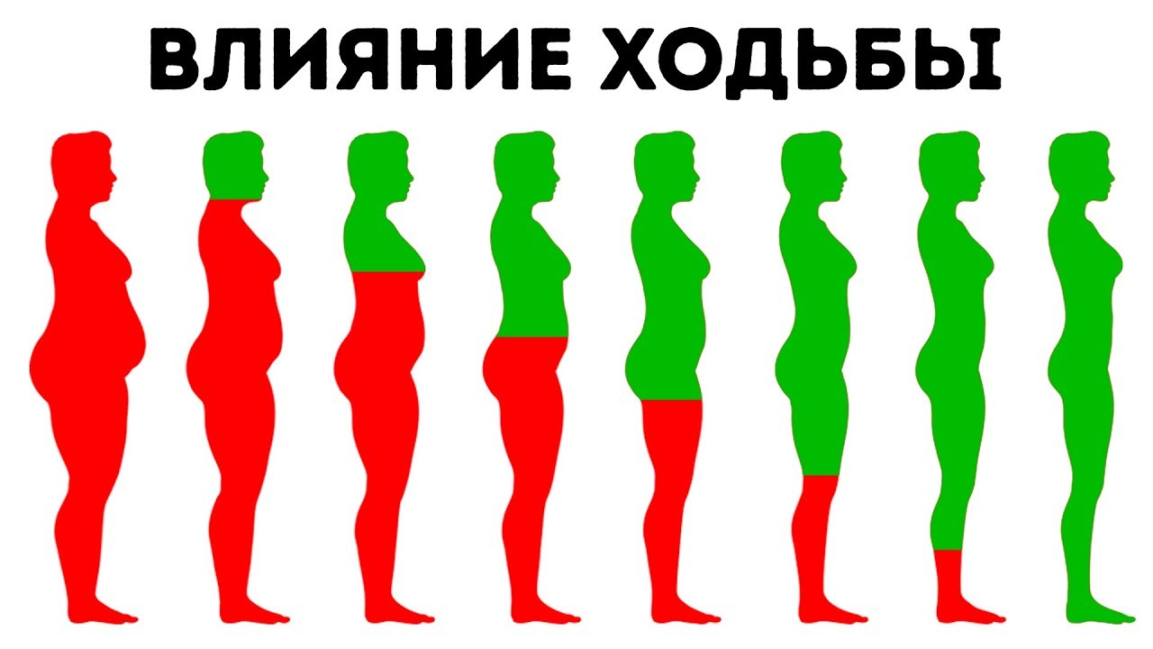 Что Произойдет с Вашим Телом При Ежедневной Ходьбе
