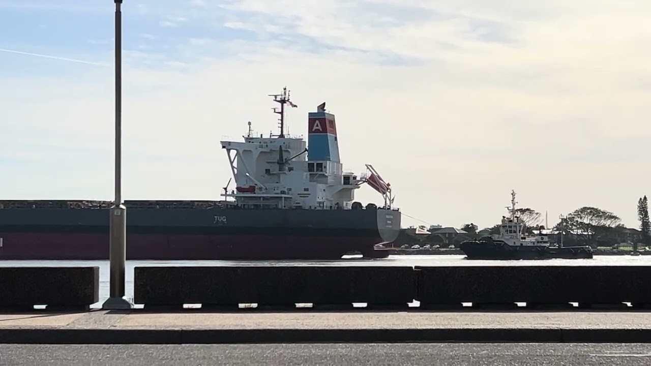 Port of Newcastle - Australia - 2026 - The world's largest coal port.