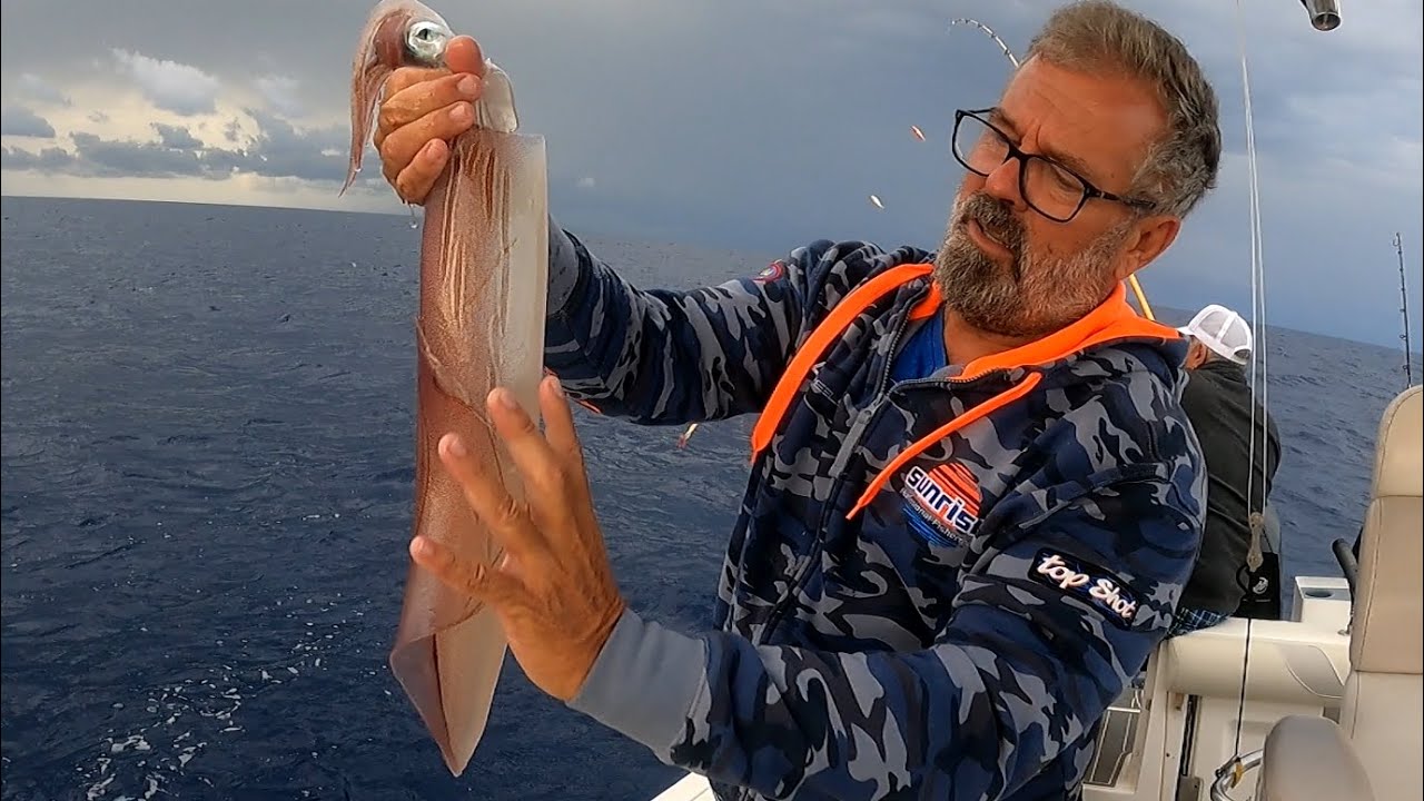 TUTORIAL DE CALAMAR EN ACCION