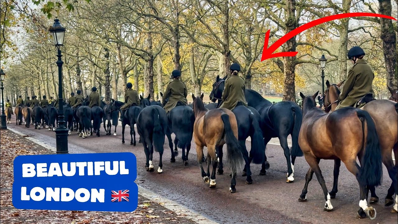 MASSIVE HERD OF MILITARY HORSES SPOTTED BEING EXERCISED IN LONDON’S STREETS ❤️