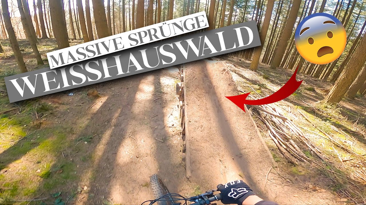 Naturbelassene Trails im Weißhauswald Trier | Heftige Sprünge | Wie geil sind bitte diese Strecken!?