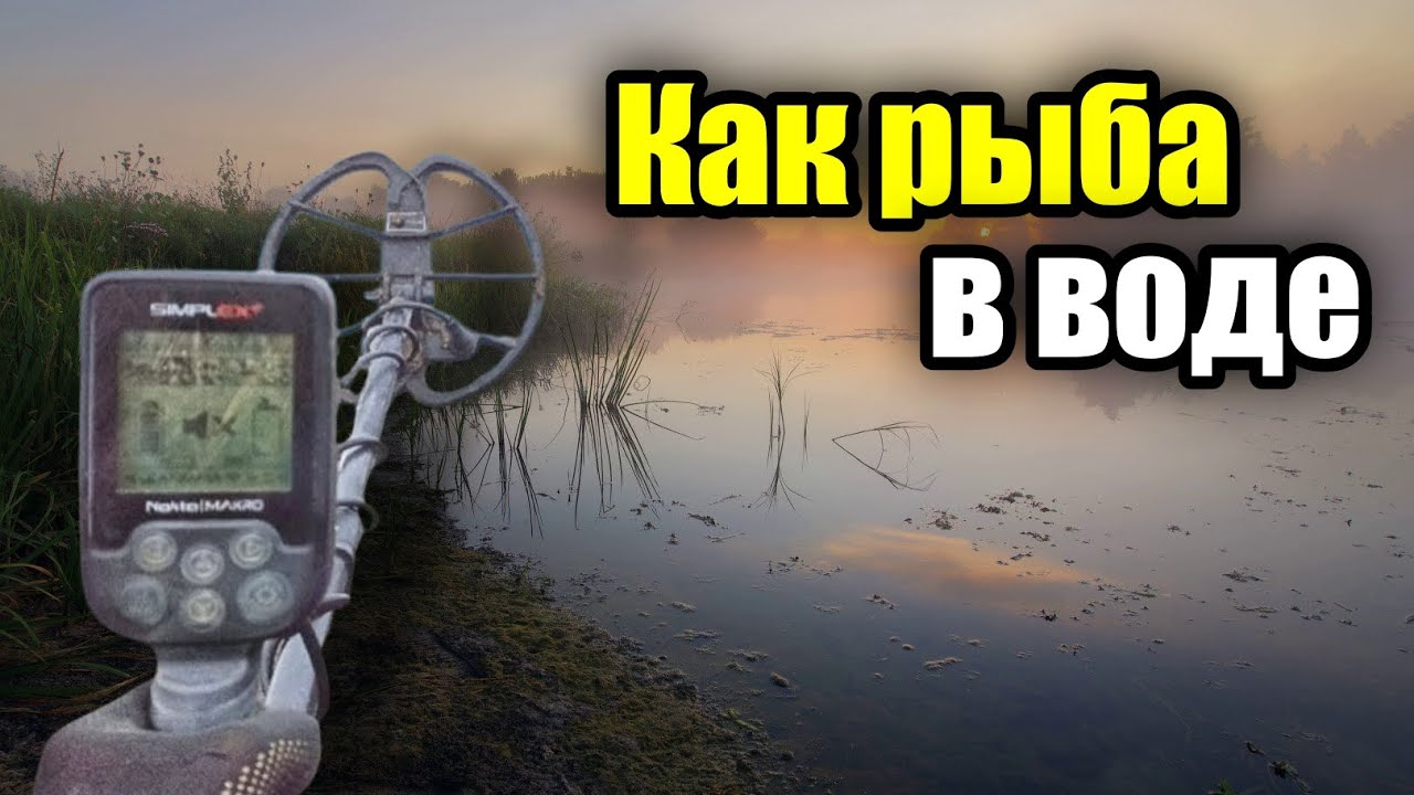 Подводный коп с MD Simplex plus. Заброшенный пляж.
