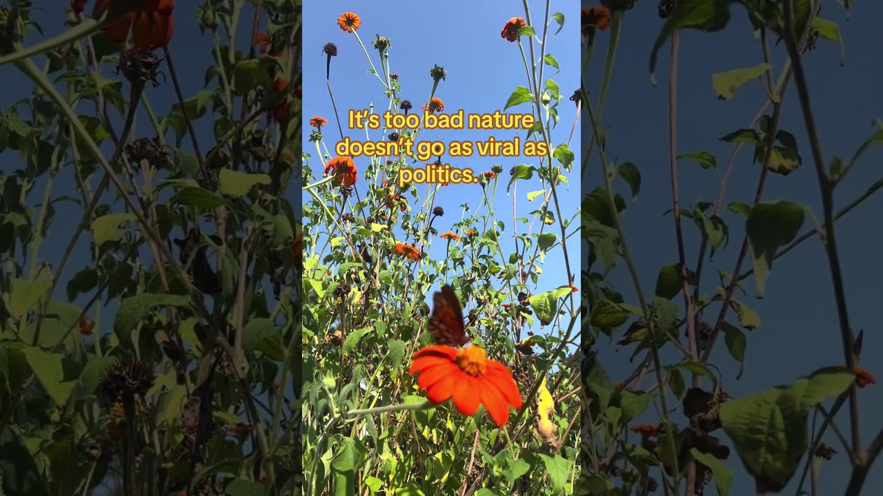 Nature, not news. I