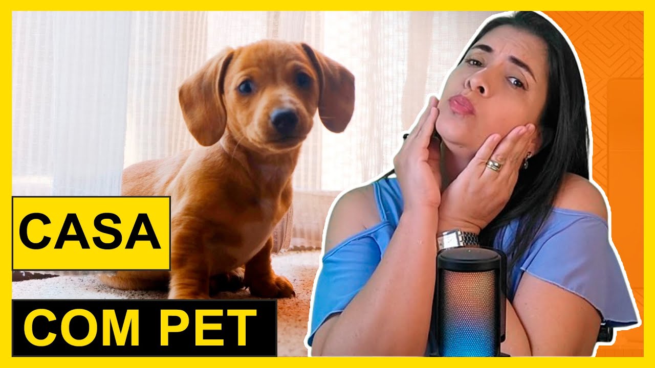 Decora&ccedil;&atilde;o PET-FRIENDLY que vai MUDAR sua casa?