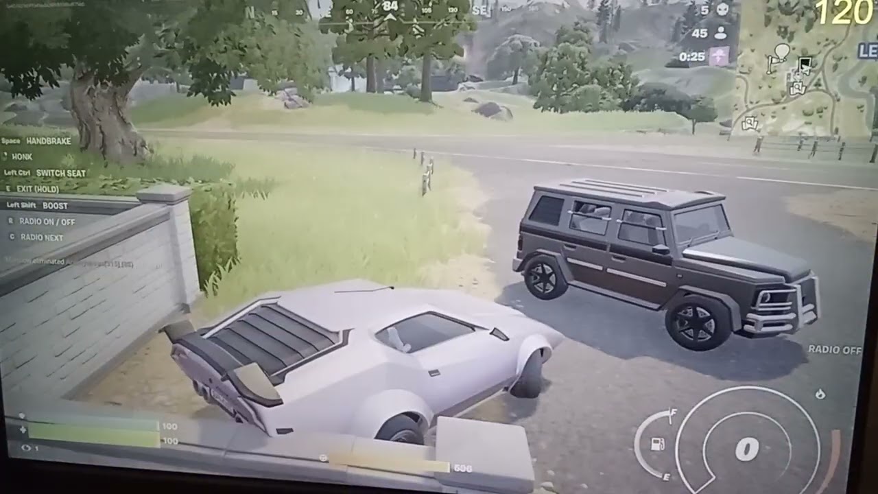 Battle Royale