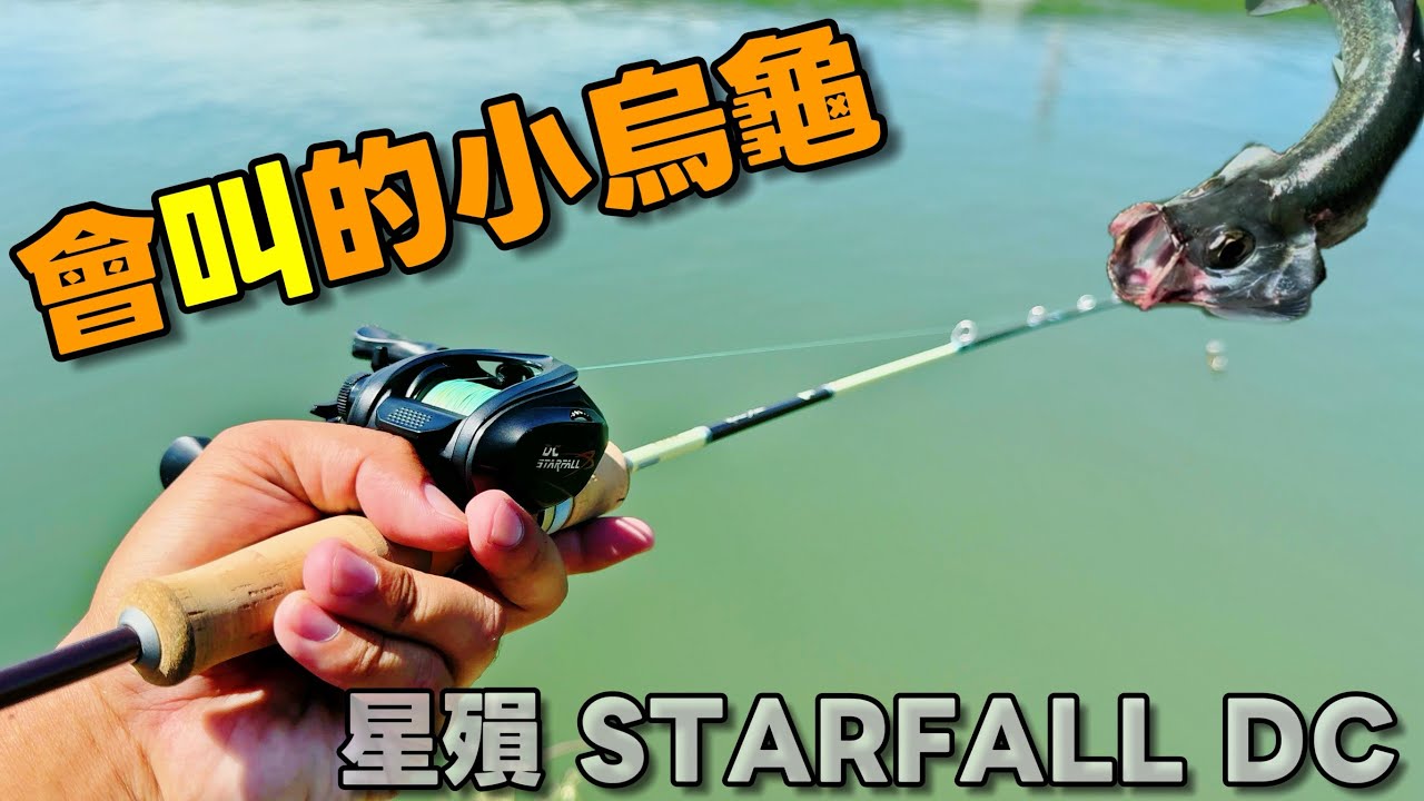 超便宜會嘰嘰叫的小烏龜？到底好不好玩 好不好用！拿來海邊甩一下 [CC字幕]  #星殞DC #大眼海鰱  #fishing  #lurefishing 