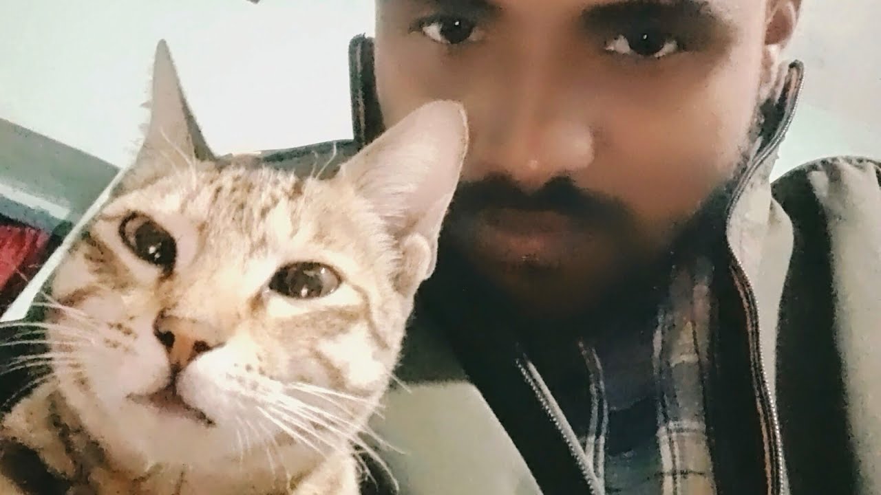 kitty witty is live!  The best moments with @Ghudghud rani the kitty