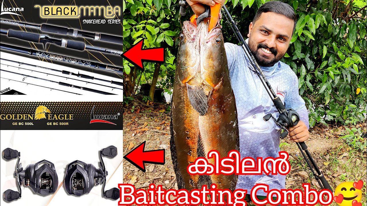 ഒരു കിടിലൻ Baitcasting Combo🥰 Black Mamba & Golden Eagle Snakehead Fishing Videos Kerala Malayalam