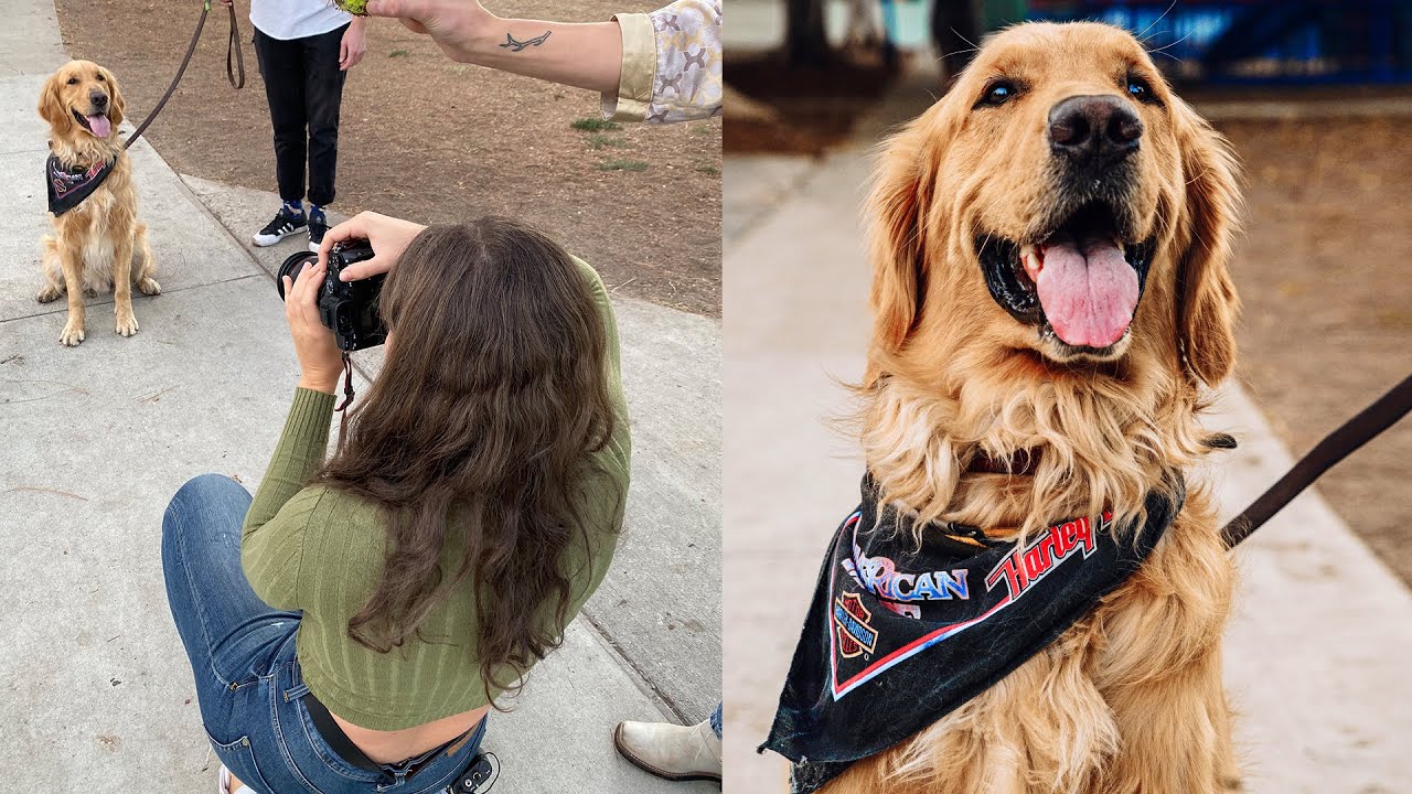 Taking Pictures of Dogs in Los Angeles with Michael Sasser and Irene Rudnyk