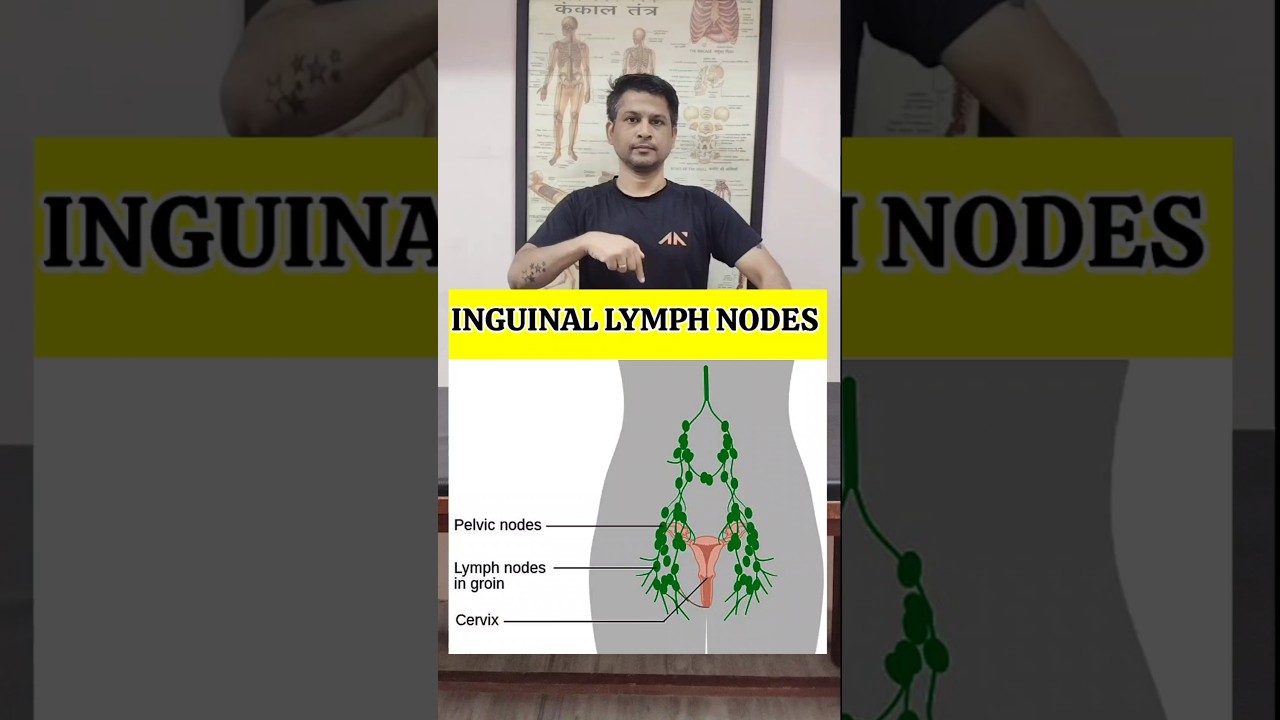 Best Exercise for Swollen Lymph Node in Groin Region Relief #shorts #tranding