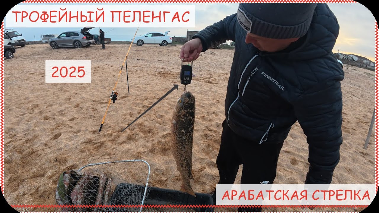 Рыбалка на пеленгаса 2025 бешеный клев