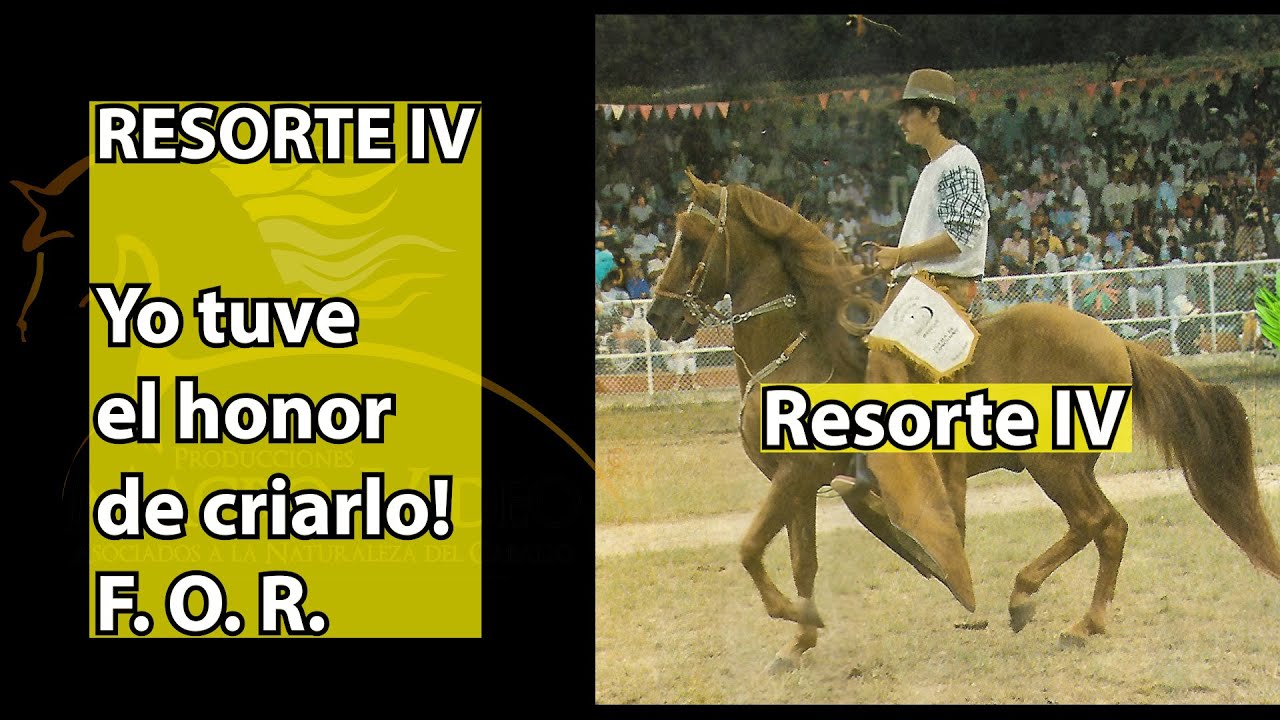 RESORTE IV ULTIMO FAMOSO DE LOS RESORTES