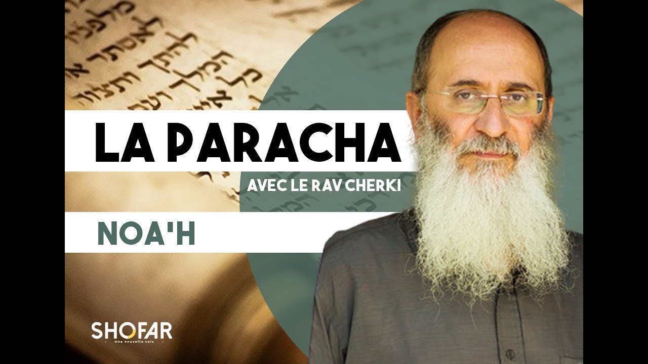 La Paracha Noa'h avec le Rav Oury Cherki