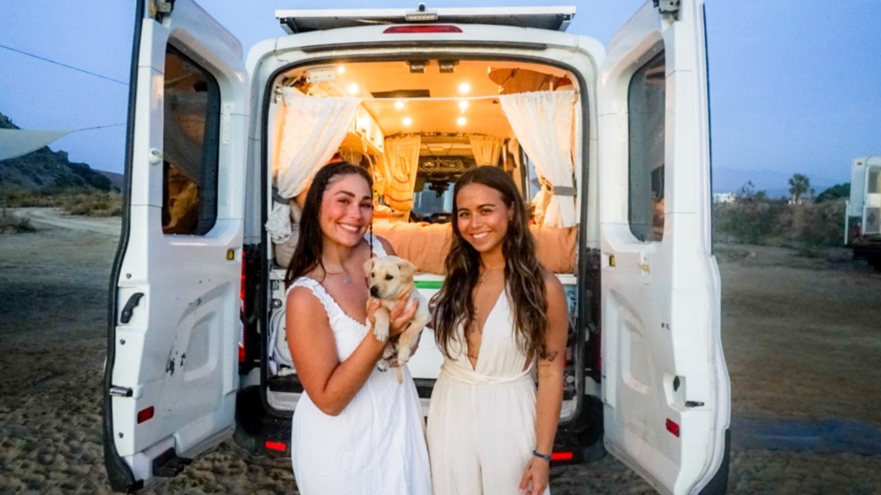 Finding a STRAY PUPPY in MEXICO (will we adopt?)