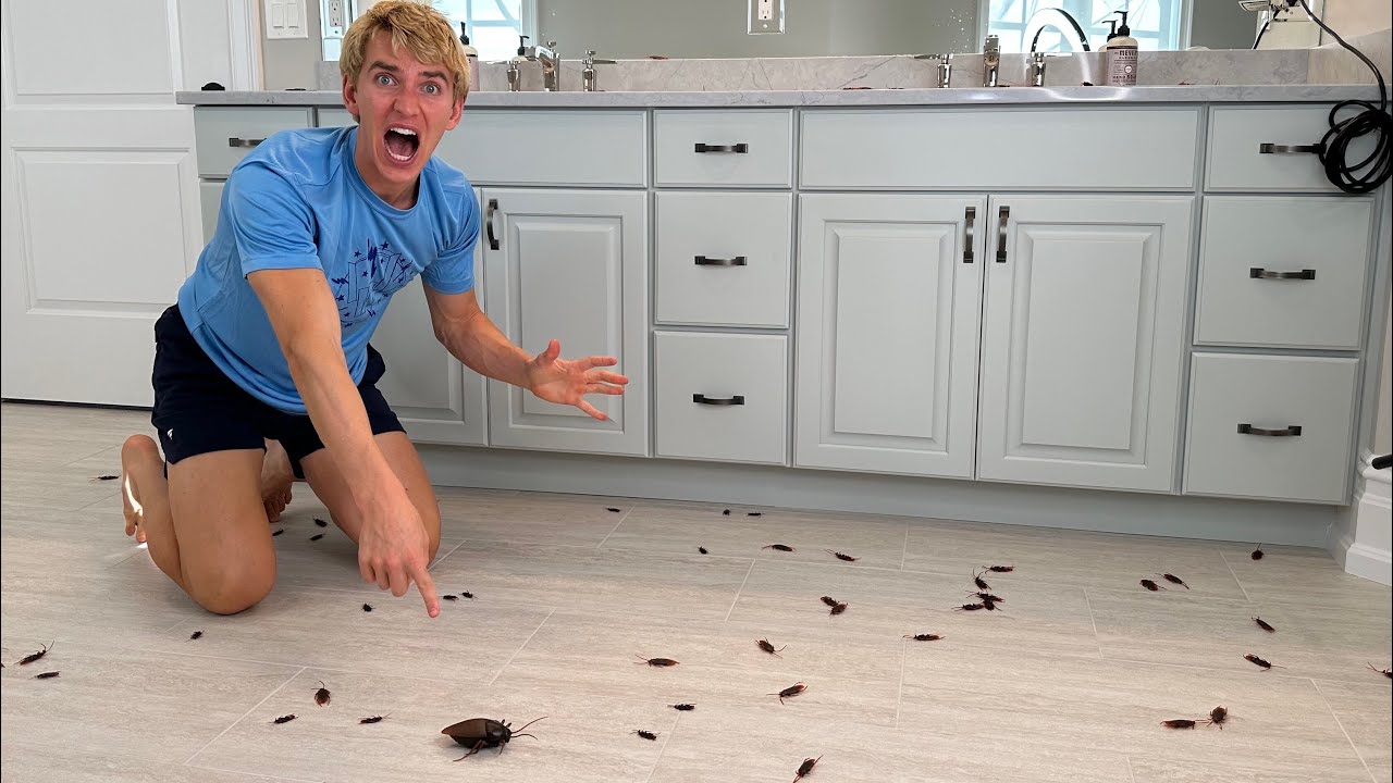 We Found BUG INFESTATION in my Sisters Bed Room!!