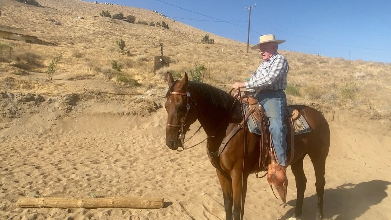 Переход от Стикса к западной культуре &mdash; заключительная глава