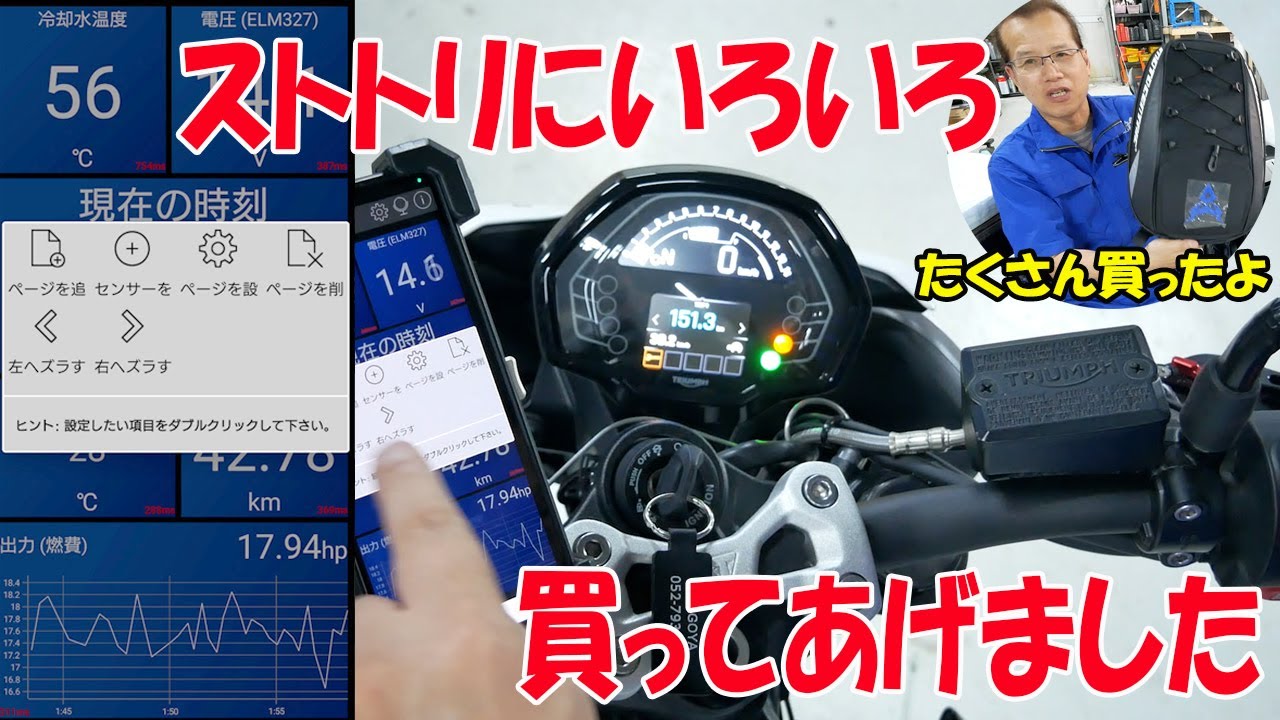 グッズやパーツをTEMUとかでいろいろ買いました【トライアンフ ストリートトリプル765R】