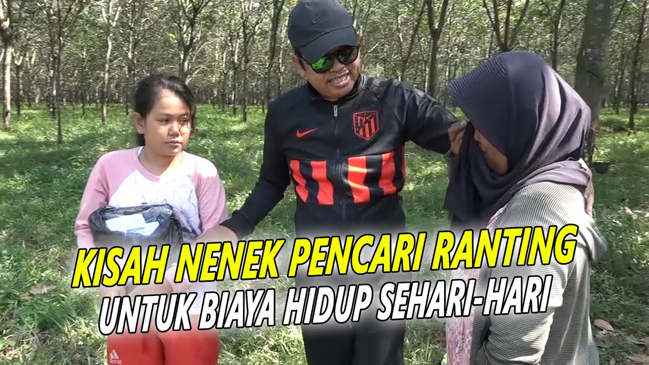 JANDA TUA PENCARI KAYU BAKAR - DEMI SERAGAM SEKOLAH CUCU