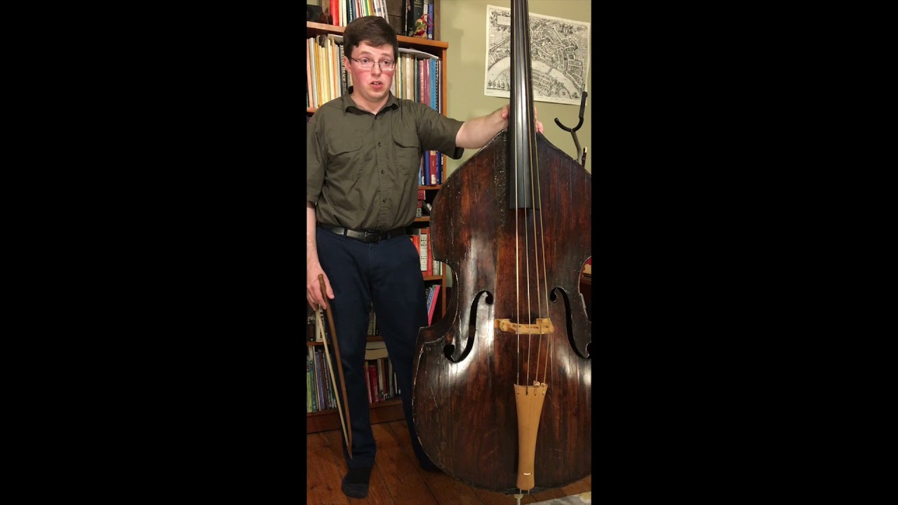 What is a violone?