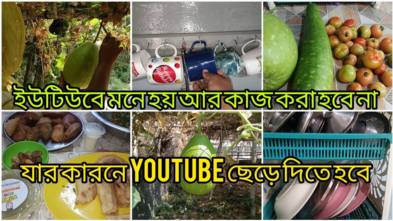 যার কারনে ইউটিউব মনে হয় ছেড়ে দিতে হবে 😥 YouTube মনে হয় আর কাজ করতে পারবো না 🙄😥