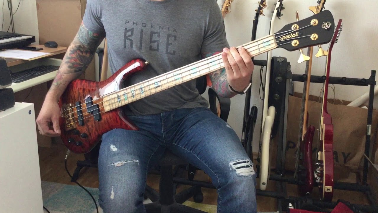 Stone in Love - Journey (Bass Cover)