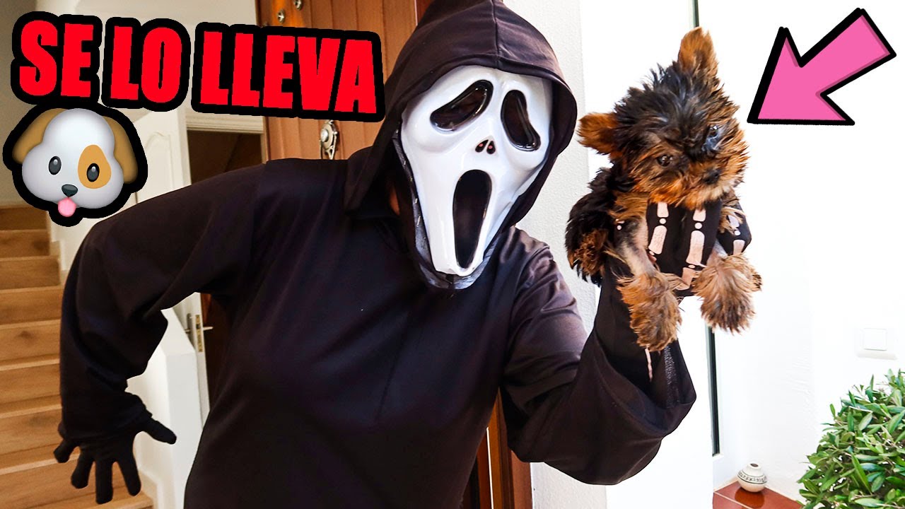 GHOSTFACE ME QUITA A MI NUEVO CACHORRO *Estoy muy triste*