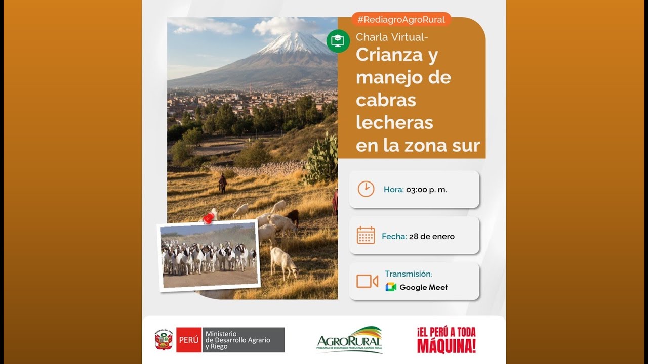 Crianza y manejo de cabras lecheras la zona sur   28.01.2026