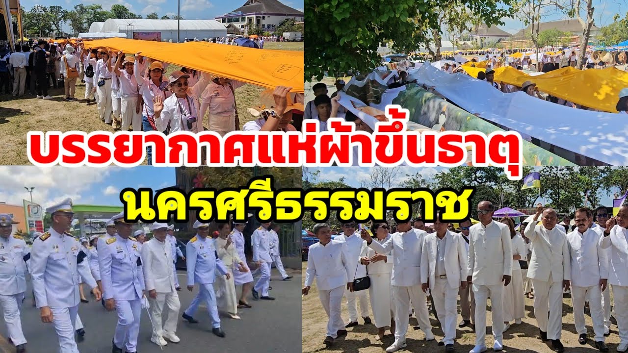 บรรยากาศแห่ผ้าขึ้นธาตุ นครศรีธรรมราช งานประจำปี งานประเพณี มาฆบูชา