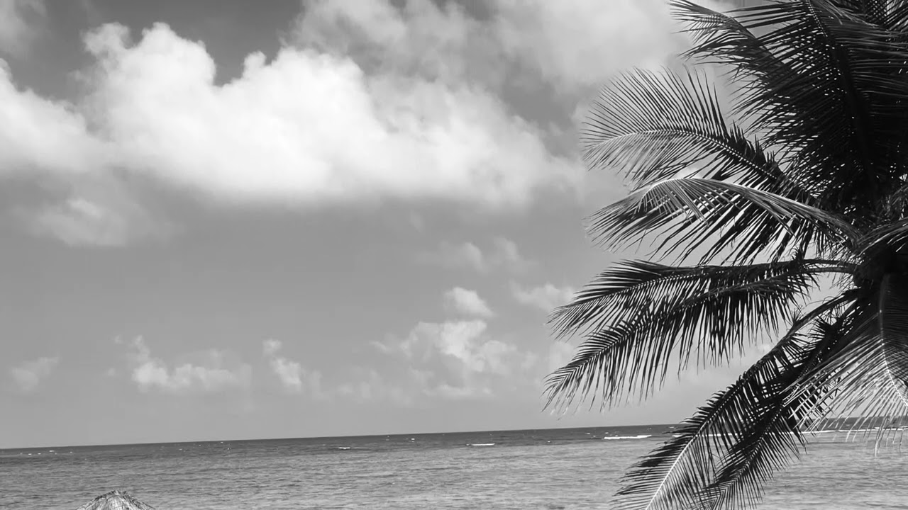 A Day on the Beach