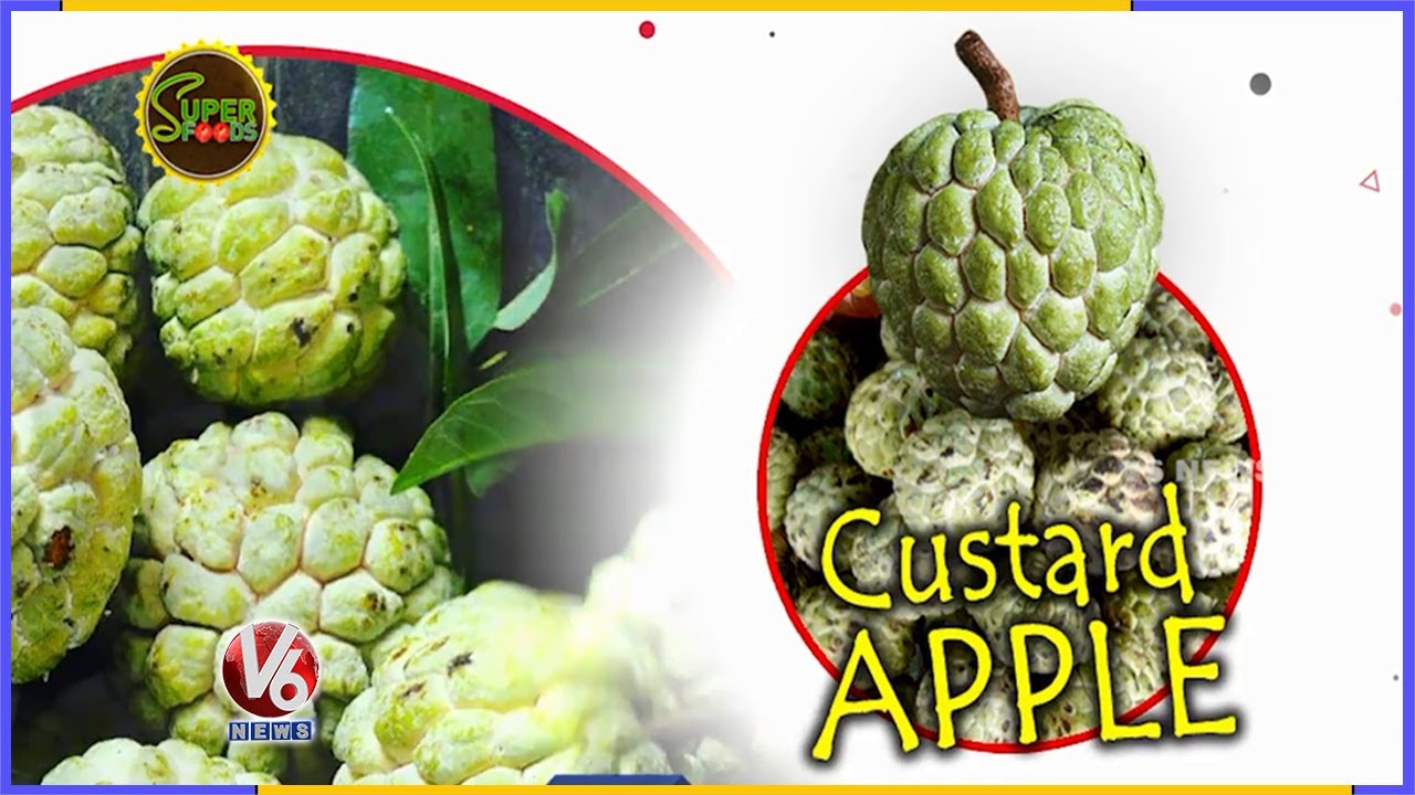 Custard Apple And Its Health Benefits | Super Foods | V6 News