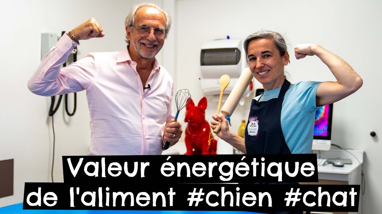 Valeur énergétique de l'aliment 