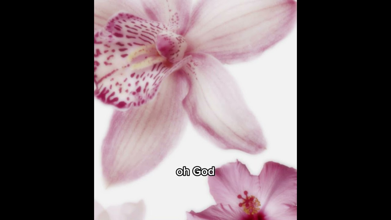 Goodbye depression- Yolanda stith lyrics