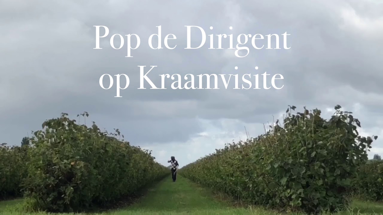 Pop de Dirigent op Kraamvisite