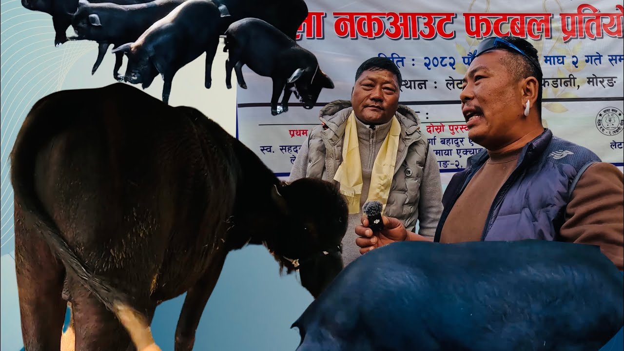Magar haru ko naya barsa ninamles 5019 mag 1 gate dekhi re sathiharu🙏🏻❤️