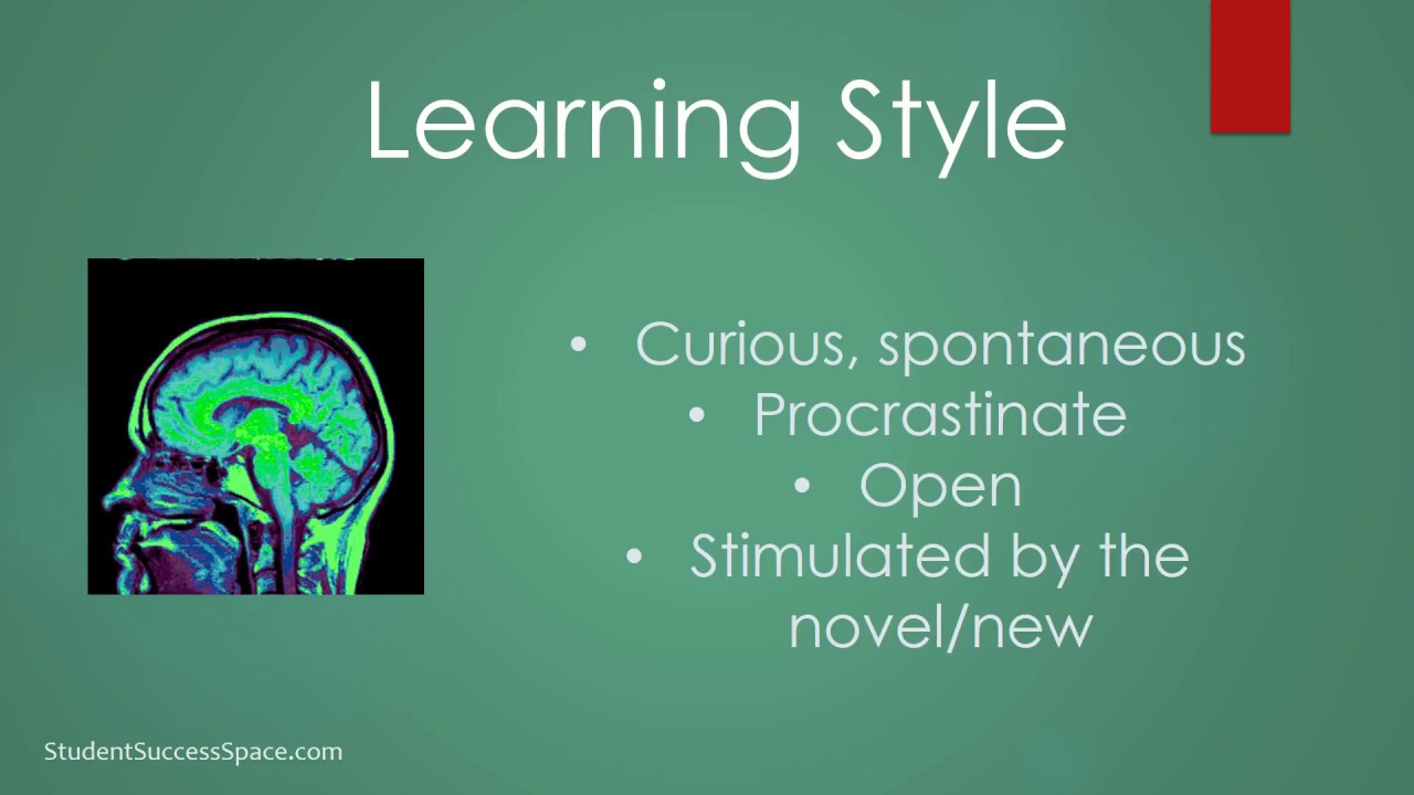 MBTI Perceiving Learning Style
