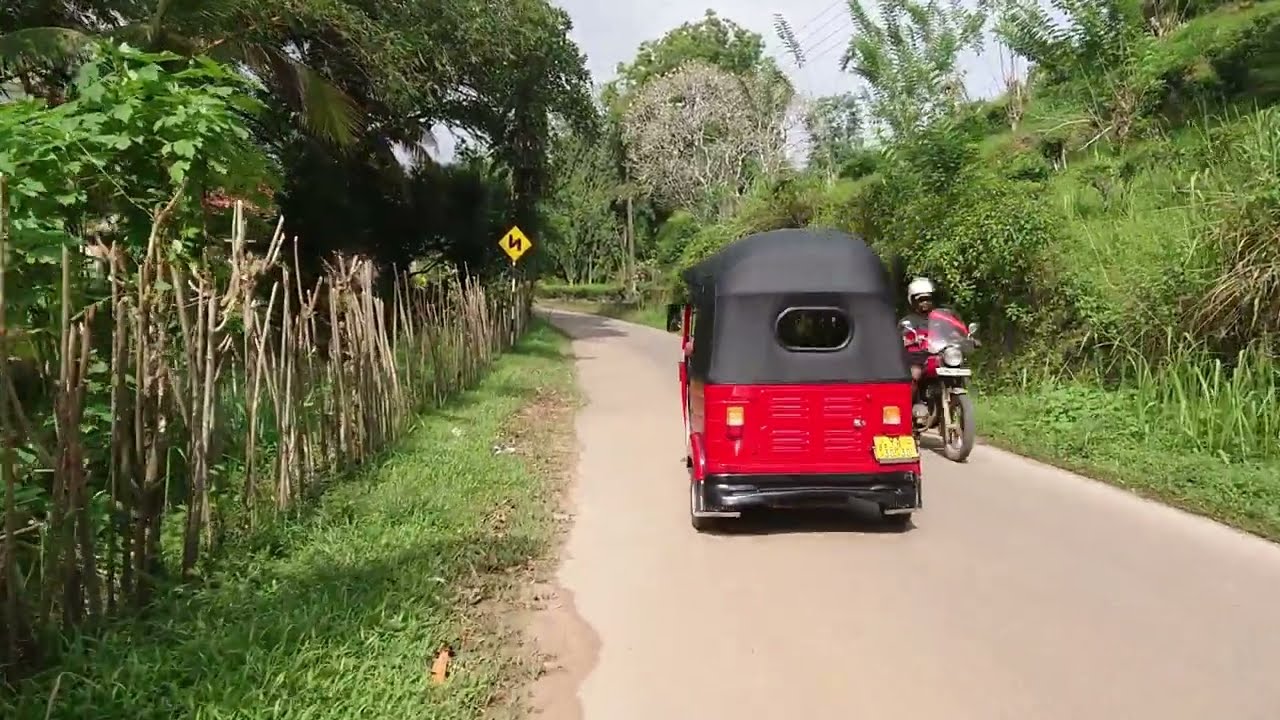 Walk along a Beautiful road of sri Lanka. Street Walk. Unseen Rural Village. View Paddy Fields. 16