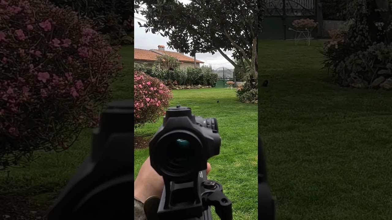 #airsoft #review #shootingrange #airsoftinternational #airsoftcqb #g&garmament #arp556 #arp3.0
