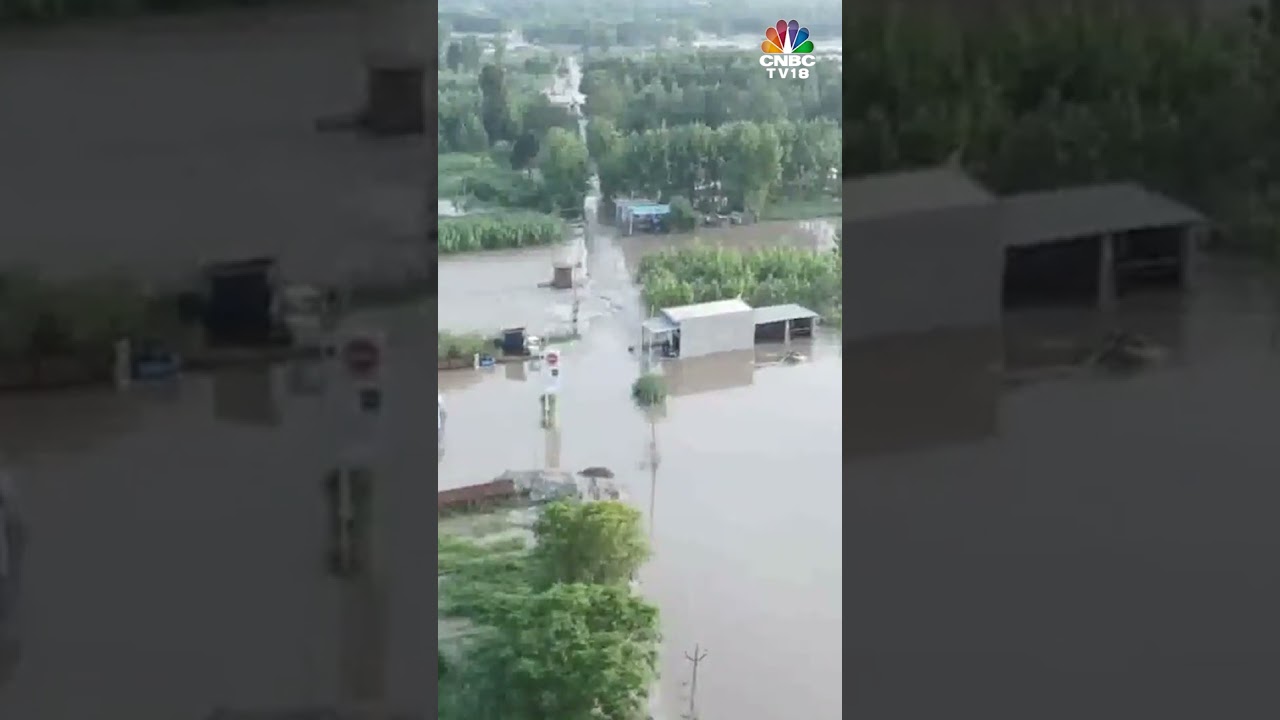 Punjab News | Several Parts Of Punjab Flooded After Torrential Rainfall | N18V | CNBC TV18